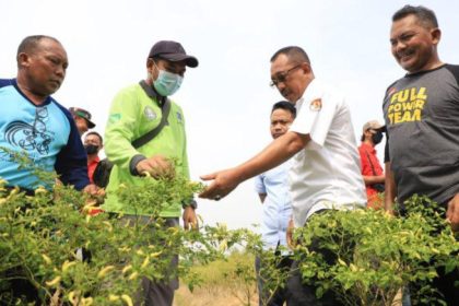 Wakil Wali Kota Surabaya Armuji sambangi warga dan mengimbau untuk mengoptimalkan tanaman pangan untuk menghadapi kemarau panjang.