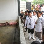 Rumah Potong Hewan (RPH) khusus babi yang beroperasi di kawasan Banjarsugihan, Tandes, Surabaya /Istimewa