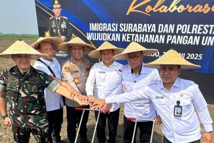 Bupati Sidoarjo, Subandi bersama imigrasi, Polresta Sidoarjo dan Kodim bersama-sama melakukan penanaman jagung di Prambon.