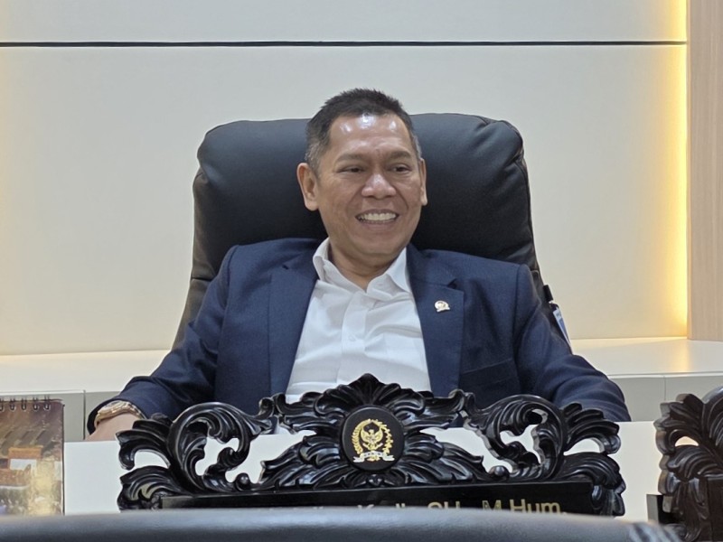 Wakil Ketua DPR RI, Adies Kadir.