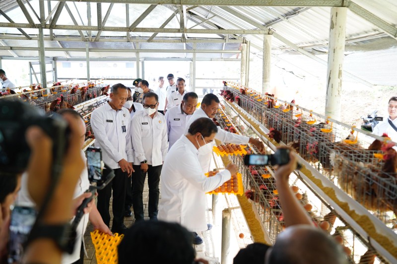 Menteri Imigrasi dan Pemasyarakatan, Agus Andrianto melihat peternakan ayam yang dikerjakan oleh warga binaan pemasyarakatan Jawa Timur.