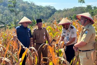 Kepala Kantor Wilayah Direktorat Jenderal Imigrasi Jawa Tengah, Haryono Agus Setiawan, ikut panen perdana menjadi bagian dari program Desa Binaan Imigrasi.